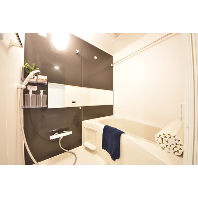 ルネサンスコート目黒南0201号室 内観