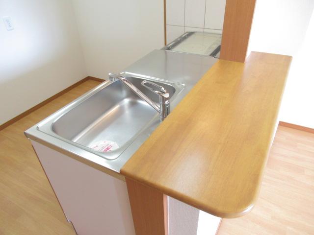 エスペランサ　Ｂ205号室 カウンターキッチン