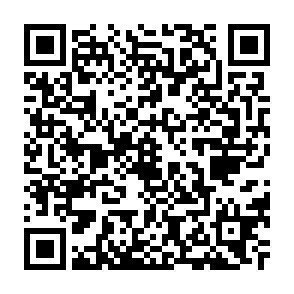 モビーレ等々力303号室 周辺環境