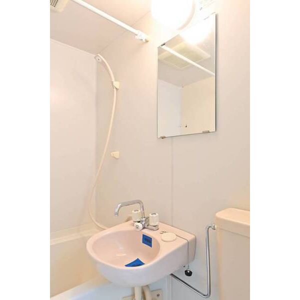 ラ・レジダンス・ド・鷺沼0224号室 洗面