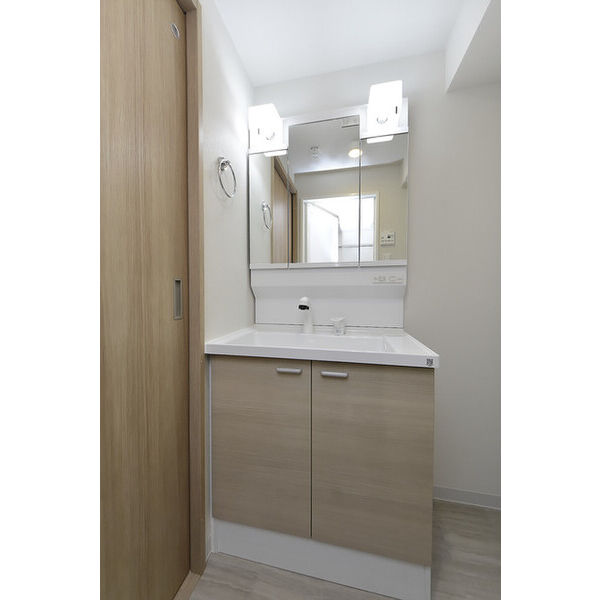 クリオ　ラモード学芸大学Ⅱ0405号室 洗面