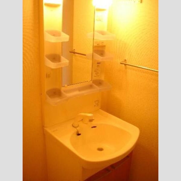 エーデルハイム ASAKAーB101号室 洗面台