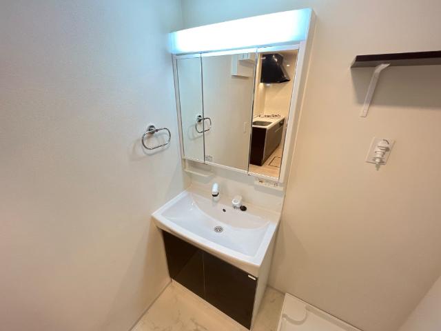 ＧＲＥＥＮ　ＳＯＲＲＥＬ　Ⅱ（グリーン　ソレル　ツー） 洗髪洗面化粧台