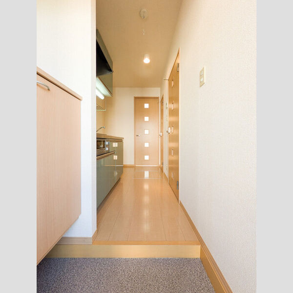 ルインズ・イン・マルヤマ　ABCDEFB102号室 玄関