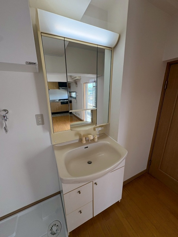 田園調布スカイマンション 洗面