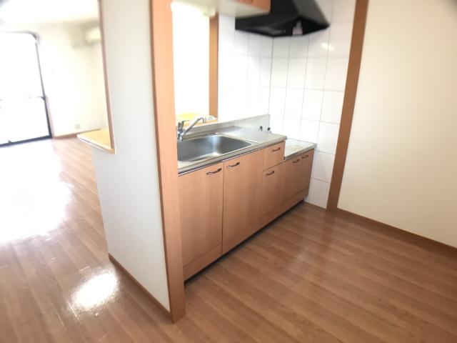 God　valley207号室 キッチン
