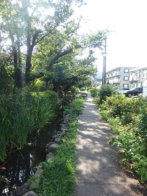 白山ハイツ0205号室 宮川緑道