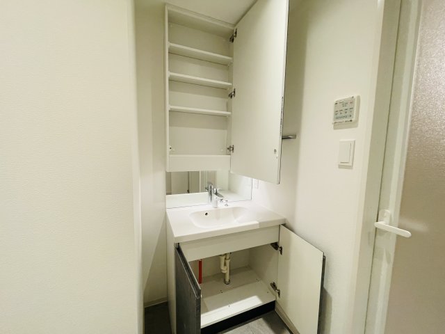 SYFORME NEXT IKEBUKURO WEST202号室 洗面