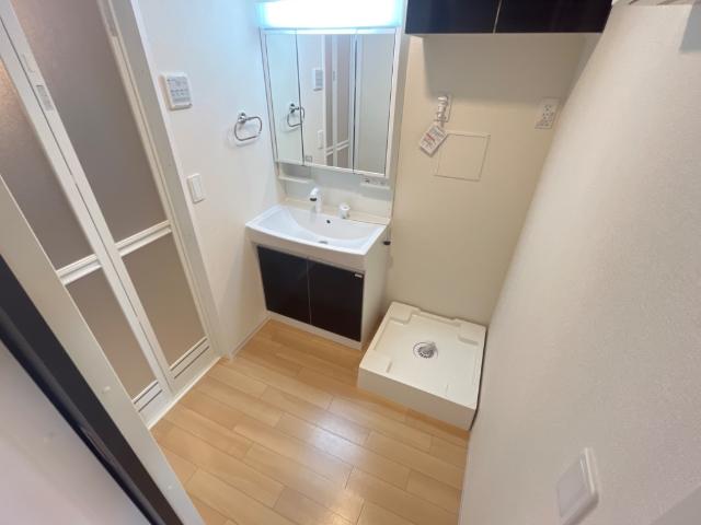 サウザンドリーフ203号室 洗面