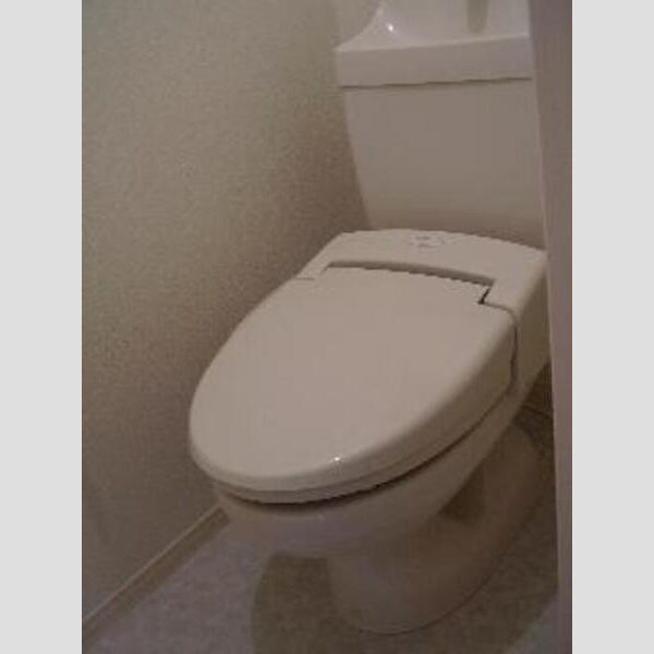 レセンテ南越谷206号室 ウォシュレット