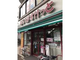 フォルツェ東京4階 まいばすけっと徳丸7丁目店