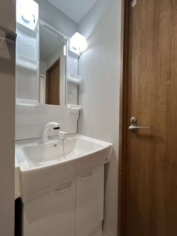 ステラコート北浦和0202号室 洗面