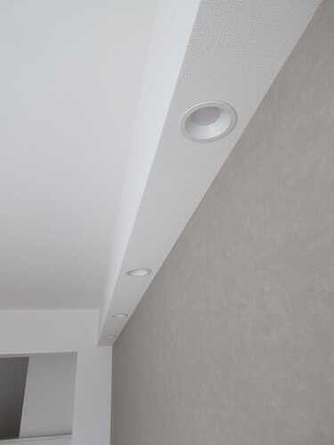 マンション高輪 ダウンライト