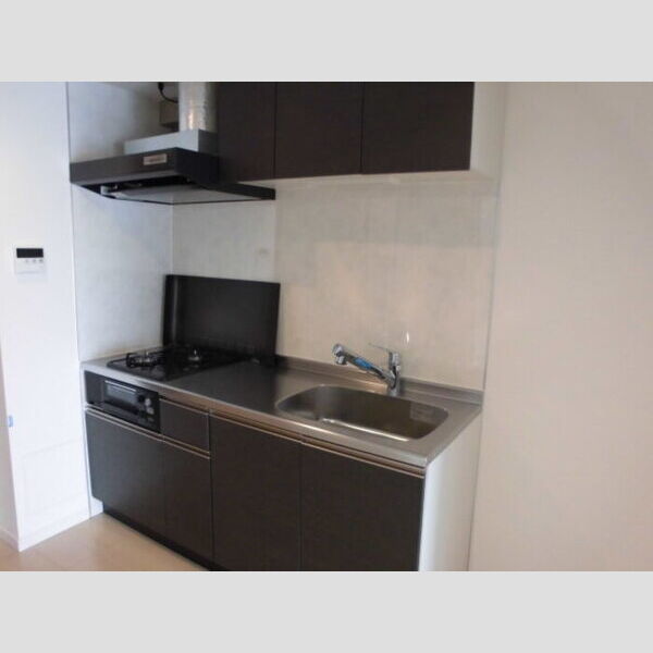 Plumeria 408　キッチン