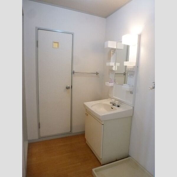 エステート根岸台206号室 洗面室