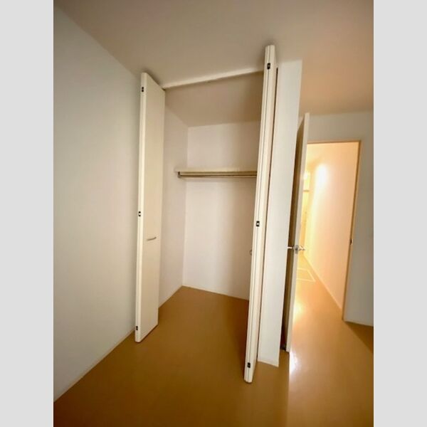 レアール等々力 お部屋の収納