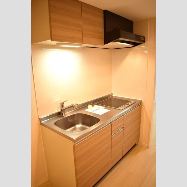 ラフィーネ大宮202号室 システムキッチン