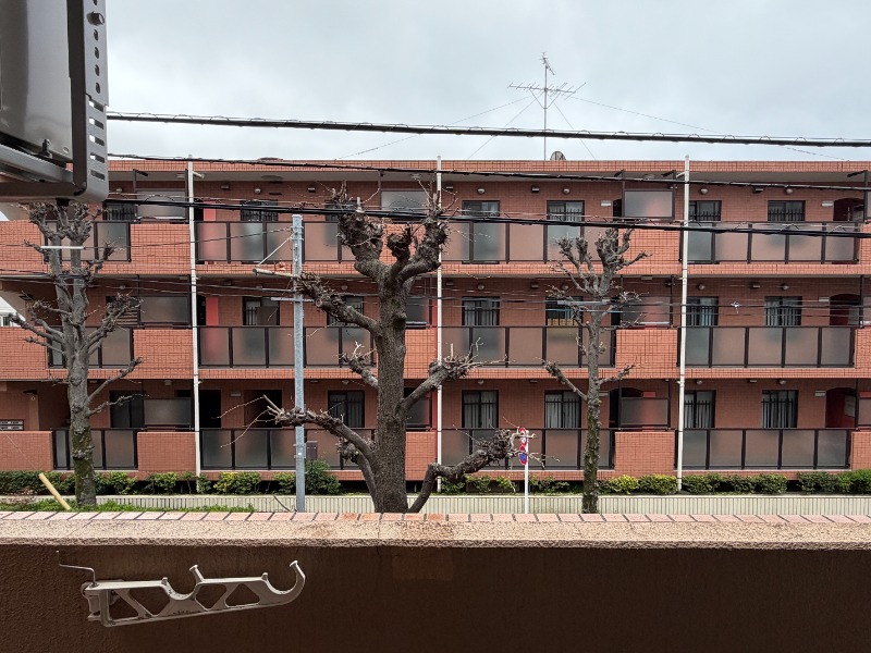 T’s garden都立大学Ⅱ2階 部屋その他