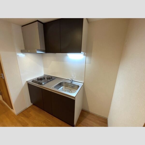 SUN RESIDENCE304号室 304号室システムキッチン