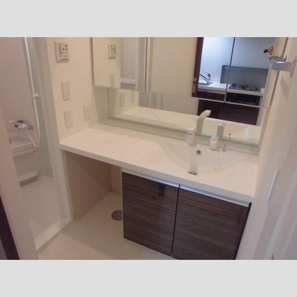 PLUM　VILLAGE106号室 洗面化粧台