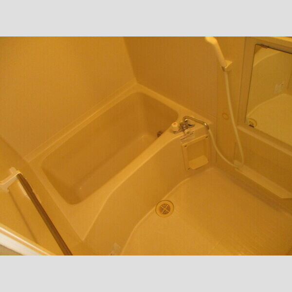 ドミール　D205号室 D205(浴室)