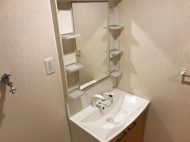 ユニバーサイド00202号室 洗髪洗面化粧台