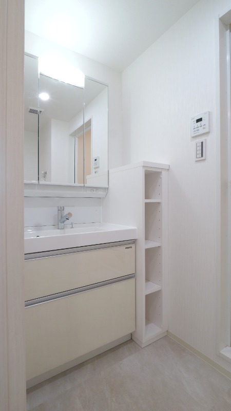 プレジオ川口11階 洗面