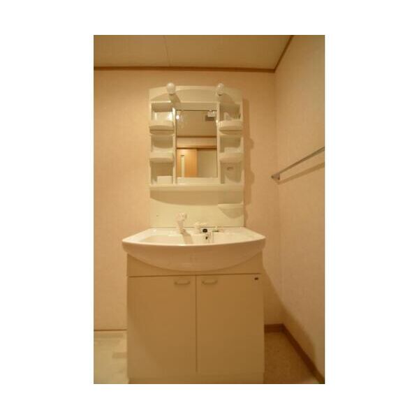 メゾンダジュール10番館 洗面