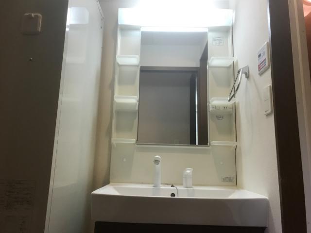 Ｃｈａｔｅａｕ　ｌｉｅｎ(シャトーリアン)102号室 洗髪洗面化粧台