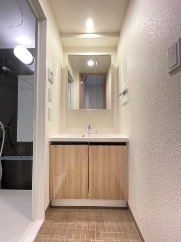 DIPS大山熊野町404号室 洗面