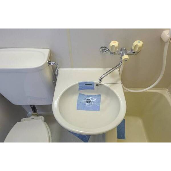 コンフォート長津田0314号室 洗面