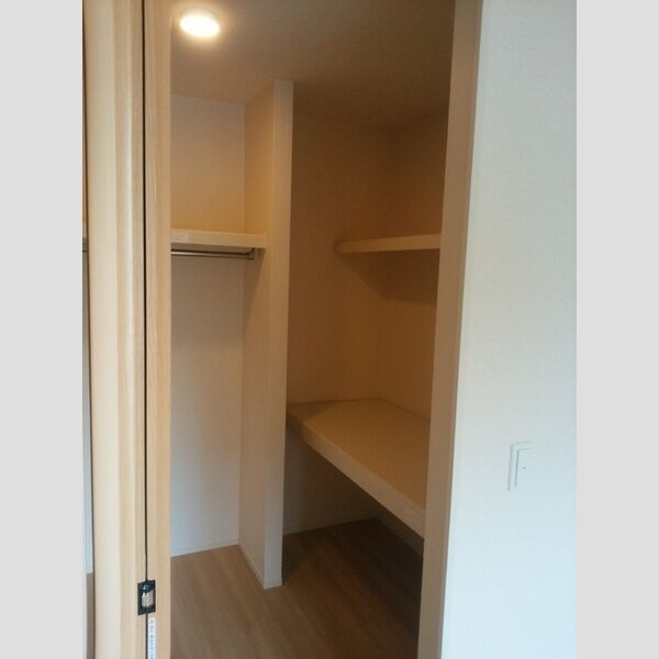 フェリシアⅢ ウォークインクローゼット