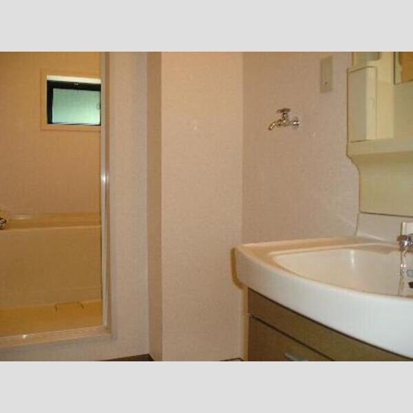 アヴァンティコート　A205号室 洗面