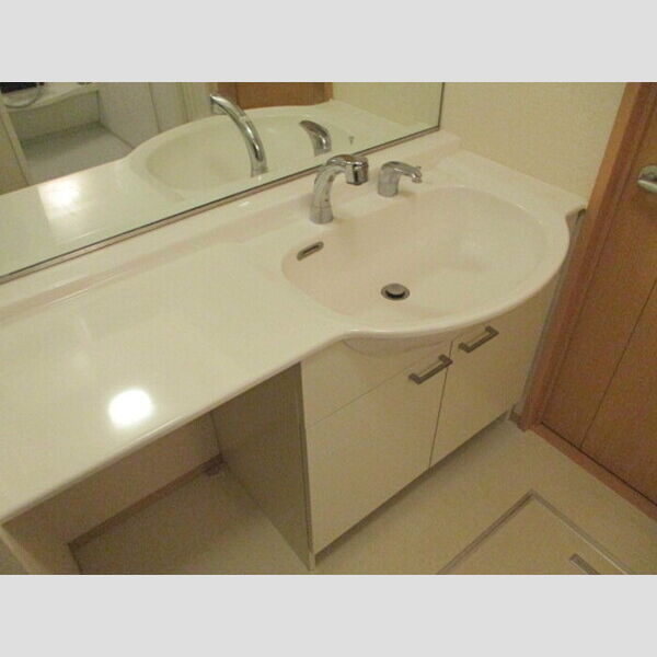 ガーデンハイツ・モッコク303号室 洗髪洗面化粧台