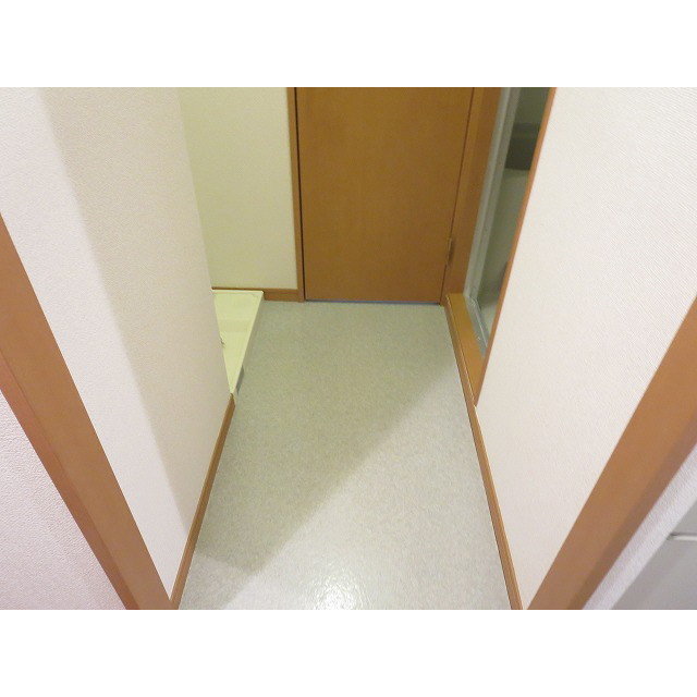 アンプルール フェール 豊四季Ⅱ 脱衣所