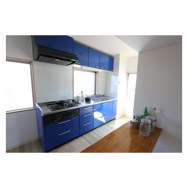 プレシャス　イースト201号室 システムキッチン