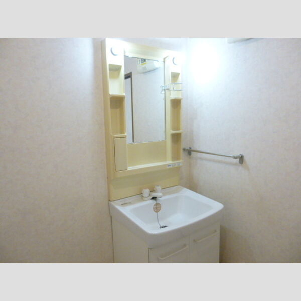 プランドール市川303号室 独立洗面台