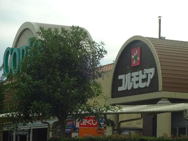 プルミエールみずき102号室 スーパーアルプス城山店まで1,191ｍ