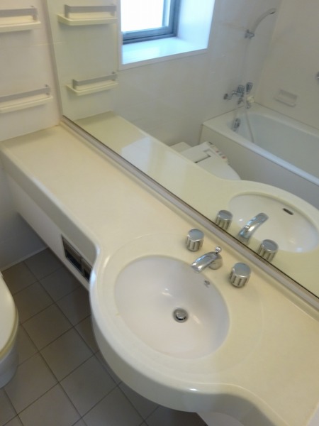 スカイコートヴァンテアン桜上水110号室 洗面