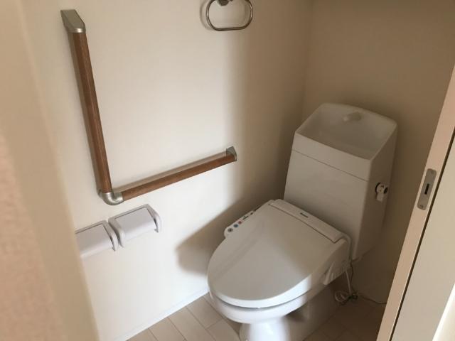 ＣＯＲＮＩＯＬＯ （コルニオーロ）102号室 シャワー付トイレ