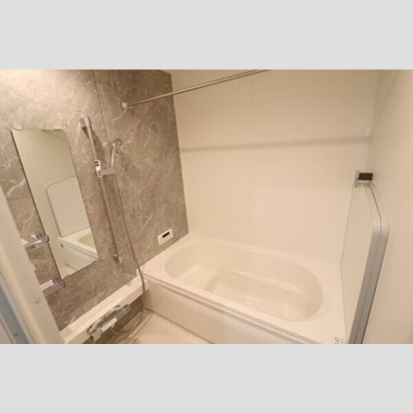 D-PRECIOUS武蔵野103号室 浴室