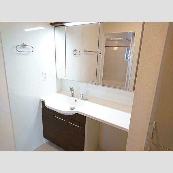 ロイジェントパークス レイクタウン Ⅱ　M 洗髪洗面化粧台