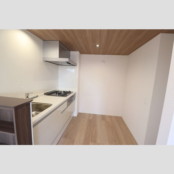 D-sereno武蔵藤沢201号室 システムキッチン