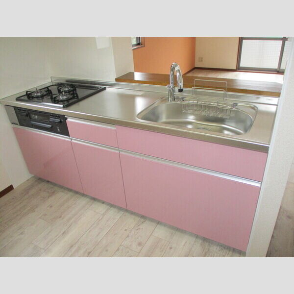 エバーグリーン　八番館 八202(キッチン)