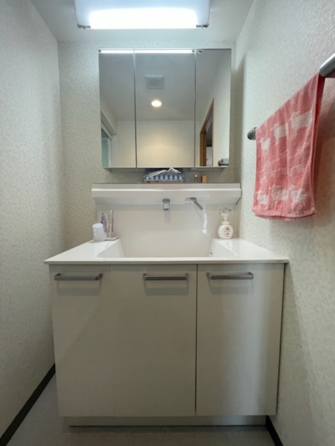 リーベスト東中山5階 洗面