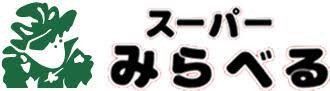 サンヴィアーレ・ブランシュ1階 スーパーみらべる練馬春日町店