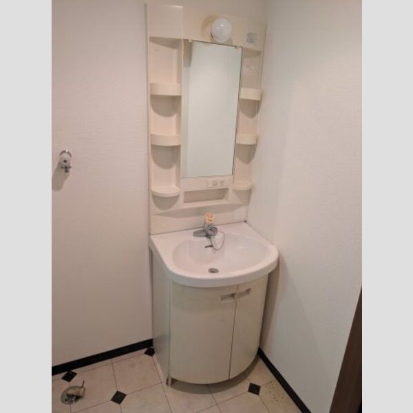 パラッツォみなとみらい201号室 洗面所