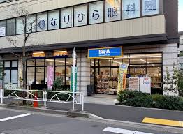 セジョリ　North　東京 【スーパー】ビッグ・エー墨田業平店まで705ｍ