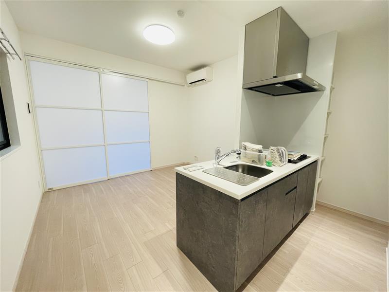 SYFORME NEXT IKEBUKURO WEST102号室 部屋その他