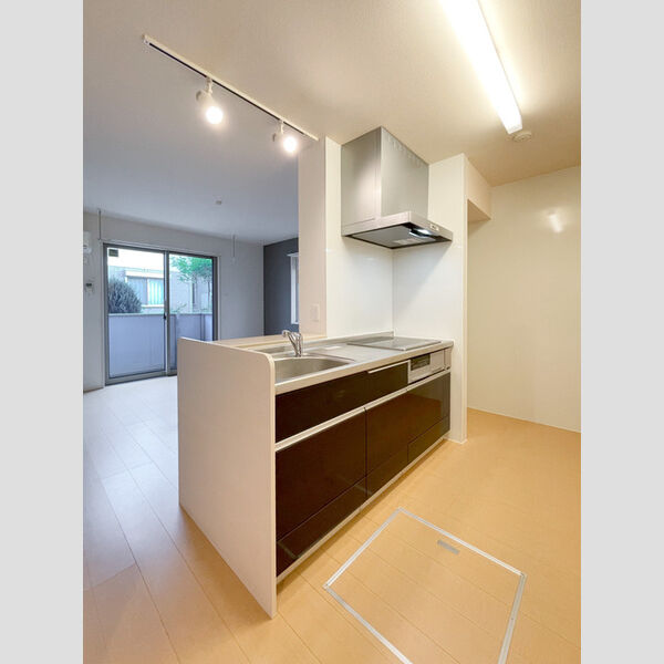 エーデルハイム　C101号室 システムキッチン